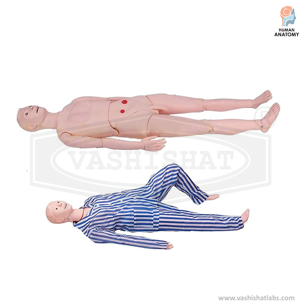 Nursing Manikin Simulator Multi Functional Male